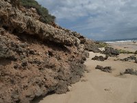 P, Faro, Aljezur, Carrapateira, Praia da Bordeira 49, Saxifraga-Willem van Kruijsbergen