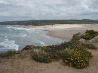 P, Faro, Aljezur, Carrapateira, Praia da Bordeira 56, Saxifraga-Willem van Kruijsbergen