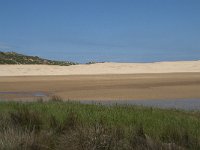 P, Faro, Aljezur, Carrapateira, Praia da Bordeira 9, Saxifraga-Willem van Kruijsbergen