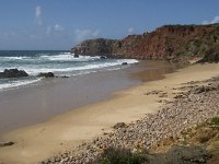 P, Faro, Aljezur, Carrapateira, Praia do Amado 1, Saxifraga-Willem van Kruijsbergen