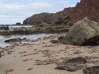 P, Faro, Aljezur, Carrapateira, Praia do Amado 56, Saxifraga-Willem van Kruijsbergen