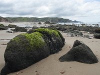 P, Faro, Aljezur, Carrapateira, Praia do Amado 66, Saxifraga-Willem van Kruijsbergen