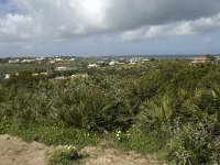 P, Faro, Burgau 26, Saxifraga-Willem van Kruijsbergen