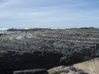 P, Faro, Rogil, Praia da Carriagem 14, Saxifraga-Willem van Kruijsbergen