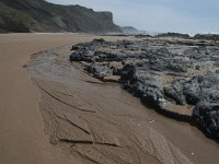 P, Faro, Rogil, Praia da Carriagem 31, Saxifraga-Willem van Kruijsbergen