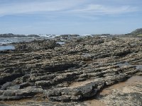 P, Faro, Rogil, Praia da Carriagem 32, Saxifraga-Willem van Kruijsbergen