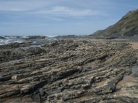 P, Faro, Rogil, Praia da Carriagem 33, Saxifraga-Willem van Kruijsbergen