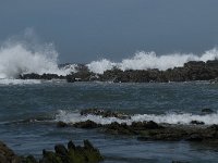 P, Faro, Rogil, Praia do Vale dos Homens 10, Saxifraga-Willem van Kruijsbergen