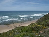 P, Faro, Rogil, Praia do Vale dos Homens 2, Saxifraga-Willem van Kruijsbergen