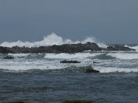 P, Faro, Rogil, Praia do Vale dos Homens 24, Saxifraga-Willem van Kruijsbergen