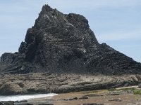 P, Faro, Rogil, Praia do Vale dos Homens 30, Saxifraga-Willem van Kruijsbergen