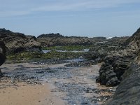 P, Faro, Rogil, Praia do Vale dos Homens 31, Saxifraga-Willem van Kruijsbergen