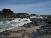 P, Faro, Rogil, Praia do Vale dos Homens 33, Saxifraga-Willem van Kruijsbergen