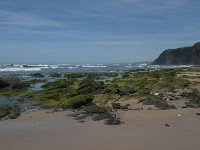 P, Faro, Rogil, Praia do Vale dos Homens 5, Saxifraga-Willem van Kruijsbergen