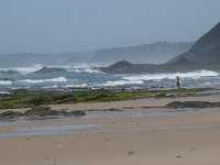 P, Faro, Rogil, Praia do Vale dos Homens 8, Saxifraga-Willem van Kruijsbergen