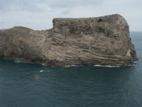 P, Faro, Vila do Bispo, Cabo Sao Vicente 131, Saxifraga-Willem van Kruijsbergen