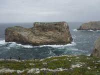 P, Faro, Vila do Bispo, Cabo Sao Vicente 15, Saxifraga-Willem van Kruijsbergen