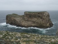 P, Faro, Vila do Bispo, Cabo Sao Vicente 18, Saxifraga-Willem van Kruijsbergen