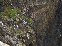 P, Faro, Vila do Bispo, Cabo Sao Vicente 2, Saxifraga-Willem van Kruijsbergen