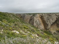 P, Faro, Vila do Bispo, Cabo Sao Vicente 35, Saxifraga-Willem van Kruijsbergen