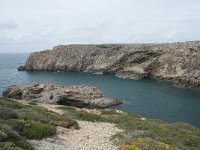 P, Faro, Vila do Bispo, Cabo Sao Vicente 60, Saxifraga-Willem van Kruijsbergen