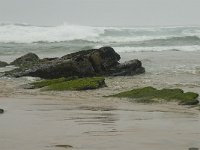 P, Faro, Vila do Bispo, Praia da Cordoama 10, Saxifraga-Jan van der Straaten