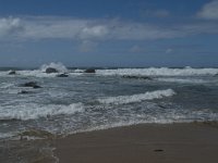 P, Faro, Vila do Bispo, Praia da Cordoama 102, Saxifraga-Willem van Kruijsbergen