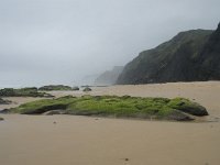 P, Faro, Vila do Bispo, Praia da Cordoama 15, Saxifraga-Willem van Kruijsbergen