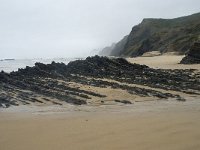 P, Faro, Vila do Bispo, Praia da Cordoama 28, Saxifraga-Willem van Kruijsbergen