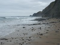 P, Faro, Vila do Bispo, Praia da Cordoama 63, Saxifraga-Willem van Kruijsbergen