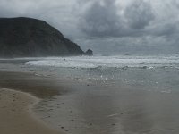 P, Faro, Vila do Bispo, Praia da Cordoama 85, Saxifraga-Willem van Kruijsbergen