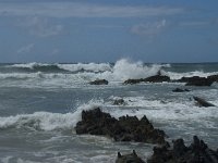 P, Faro, Vila do Bispo, Praia da Cordoama 88, Saxifraga-Willem van Kruijsbergen