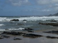 P, Faro, Vila do Bispo, Praia da Cordoama 89, Saxifraga-Willem van Kruijsbergen