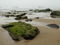 P, Faro, Vila do Bispo, Praia da Cordoama 9, Saxifraga-Jan van der Straaten