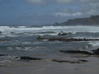 P, Faro, Vila do Bispo, Praia da Cordoama 92, Saxifraga-Willem van Kruijsbergen