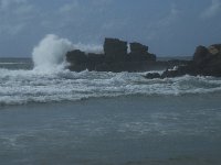 P, Faro, Vila do Bispo, Praia de Castelejo 104, Saxifraga-Willem van Kruijsbergen