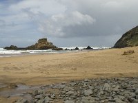 P, Faro, Vila do Bispo, Praia de Castelejo 2, Saxifraga-Willem van Kruijsbergen