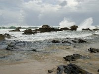 P, Faro, Vila do Bispo, Praia de Castelejo 51, Saxifraga-Willem van Kruijsbergen