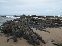 P, Faro, Vila do Bispo, Praia de Castelejo 80, Saxifraga-Willem van Kruijsbergen