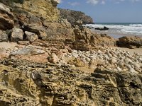 P, Faro, Vila do Bispo, Praia do Zavial 16, Saxifraga-Willem van Kruijsbergen