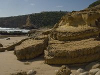 P, Faro, Vila do Bispo, Zavial 12, Saxifraga-Jan van der Straaten