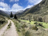 P, Guarda, Manteigas, Sao Pedro 9, Saxifraga-Kees Marijnissen