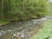 RO, Brasov, Harseni, S of Sebes 1, Saxifraga-Tom Heijnen