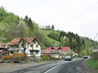 RO, Brasov, Poiana Marului, Sinca Veche 1, Saxifraga-Tom Heijnen