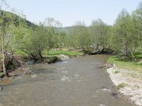 RO, Brasov, Zarnesti, W of Zarnesti 3, Saxifraga-Tom Heijnen