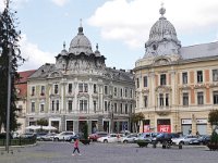 RO, Cluj, Cluj-Napoca, Cluj 3, Saxifraga-Tom Heijnen