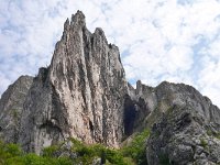 RO, Cluj, Turda, Cheile Turzii 7, Saxifraga-Tom Heijnen