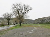 RO, Constanta, Gradina, Cheile Dobrogei 1, Saxifraga-Tom Heijnen