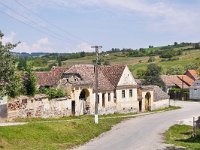 RO, Sibiu, Chirpar 2, Saxifraga-Tom Heijnen