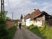 RO, Sibiu, Porumbacu de Jos, Sarata 3, Saxifraga-Tom Heijnen